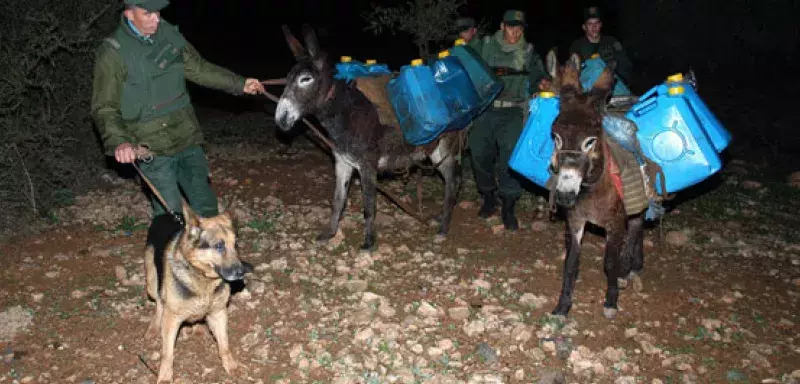 la contrebande qui saigne le pays n'est pas un phénomène isolé... (DR)
