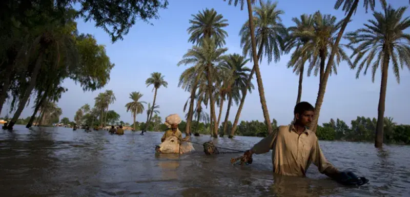 catastropheinondationspakistan.jpg