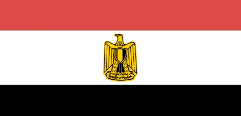 egypteelection.png