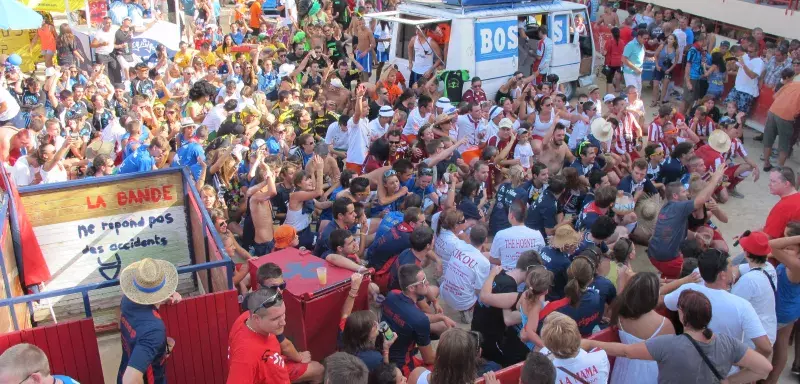 Lancées avec le traditionnel défilé des bandes de Mauguio, les festivités vont se poursuivre jusqu'au 19 août avec l'envie au cœur de réussir une belle fête, sans drame. (N.E)