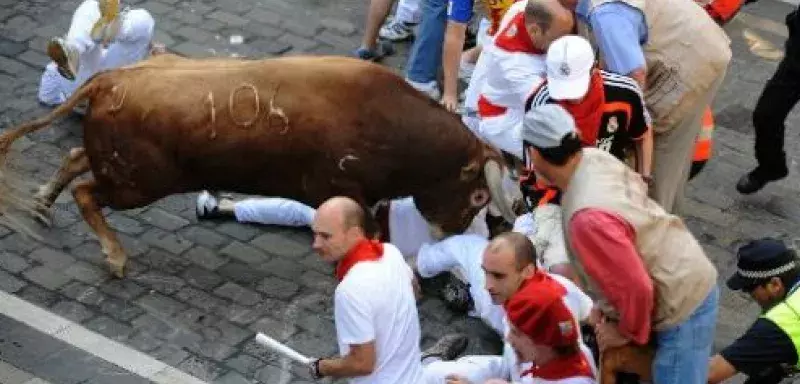 Les redoutables bêtes de combat bouclé le parcours en 3 minutes et 37 secondes (DR)