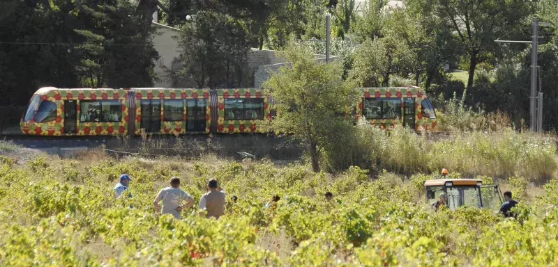 Le jury a salué la belle alliance de la ville et de la nature