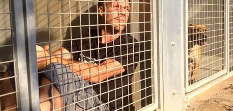 « A partir du 11 novembre 2016 je serai en Live sur Facebook pour une durée indéterminée. Enfermé comme un chien en cage 24h/24 à la SPA de Montpellier », a lancé ce soir Rémi Gaillard.