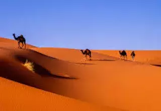 La magie du Sahara, un nouveau souffle pour le développement touristique