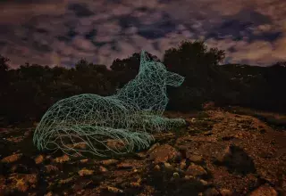 (© David Parenteau)